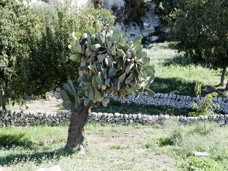 Valle Dell'Acanto Modica Zewnętrze zdjęcie